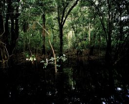 volker kreidler fotograf photography