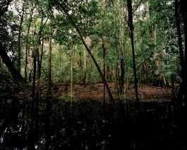 volker kreidler fotograf photography