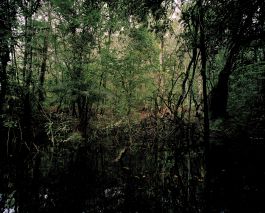 volker kreidler fotograf photography