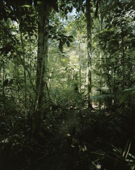 volker kreidler fotograf photography