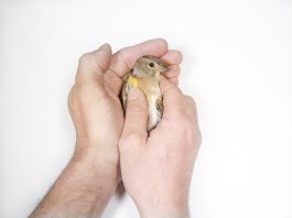 volker kreidler fotograf photography