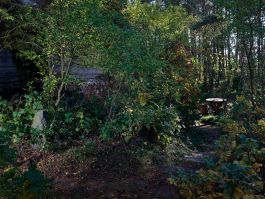 volker kreidler fotograf photography