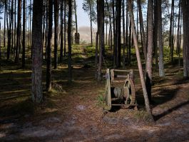 volker kreidler fotograf photography