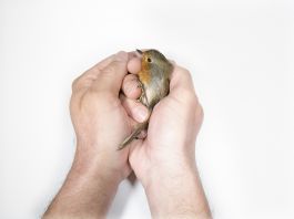 volker kreidler fotograf photography