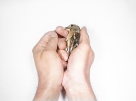 volker kreidler fotograf photography