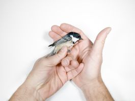 volker kreidler fotograf photography