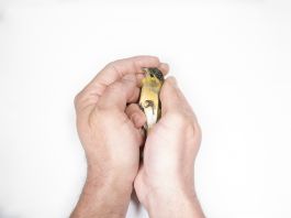 volker kreidler fotograf photography