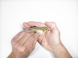 volker kreidler fotograf photography