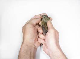 volker kreidler fotograf photography