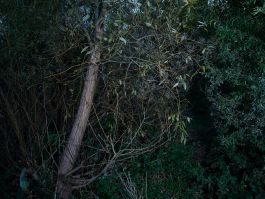 volker kreidler fotograf photography