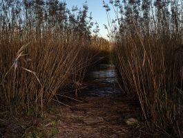 volker kreidler fotograf photography