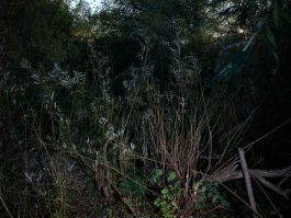 volker kreidler fotograf photography