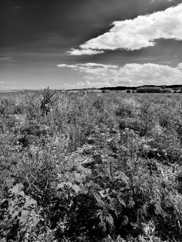 volker kreidler fotograf photography