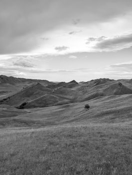 volker kreidler fotograf photography