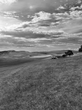 volker kreidler fotograf photography