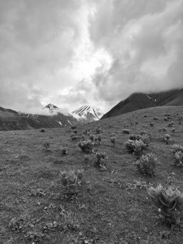 volker kreidler fotograf photography