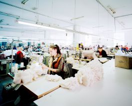 kreidler-taxonomy-moldova-chisinau-oldcom volker kreidler fotograf photography