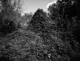 kreidler-third-landscape-chernobyl-exclusion-zone