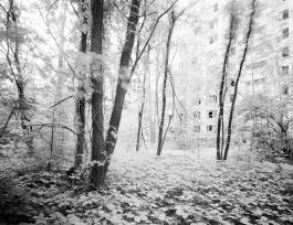 kreidler-third-landscape-chernobyl-exclusion-zone-pypjat-priyat