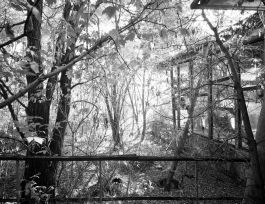 kreidler-third-landscape-chernobyl-exclusion-zone-pypjat-priyat