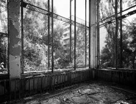 kreidler-third-landscape-chernobyl-exclusion-zone-pypjat-priyat