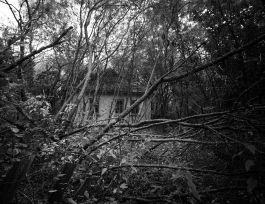 kreidler-third-landscape-chernobyl-exclusion-zone-pypjat-priyat