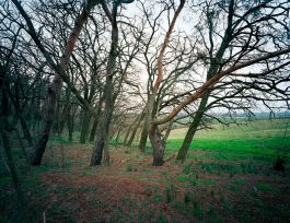 kreidler-schlachtfelder-battlefields-topography-seelower-höhen